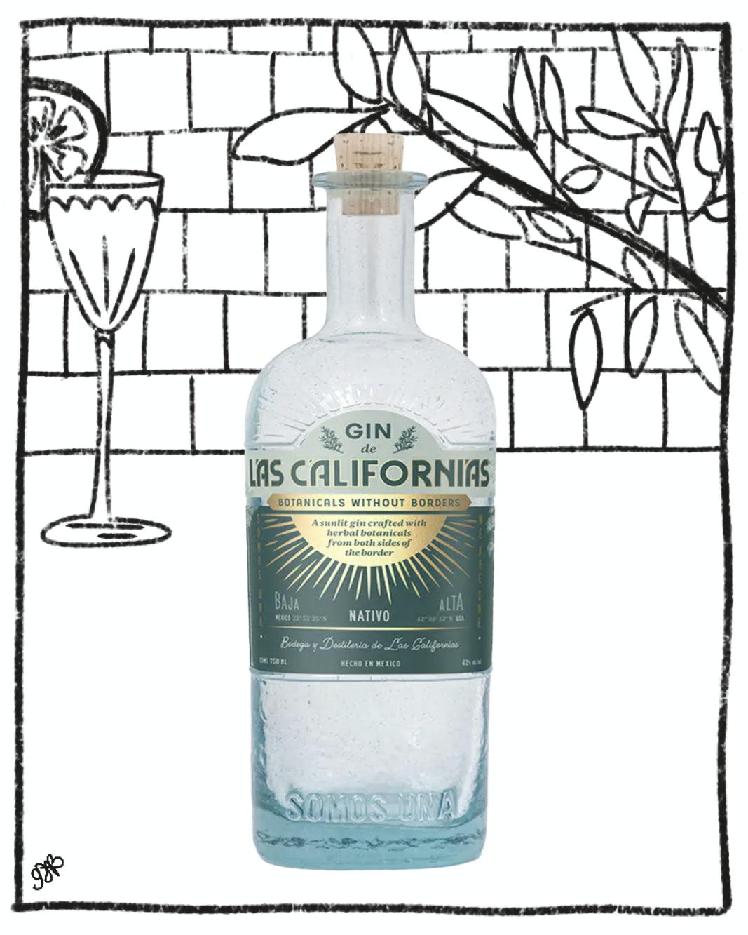 Bottle of Las Californias gin with a decorative background