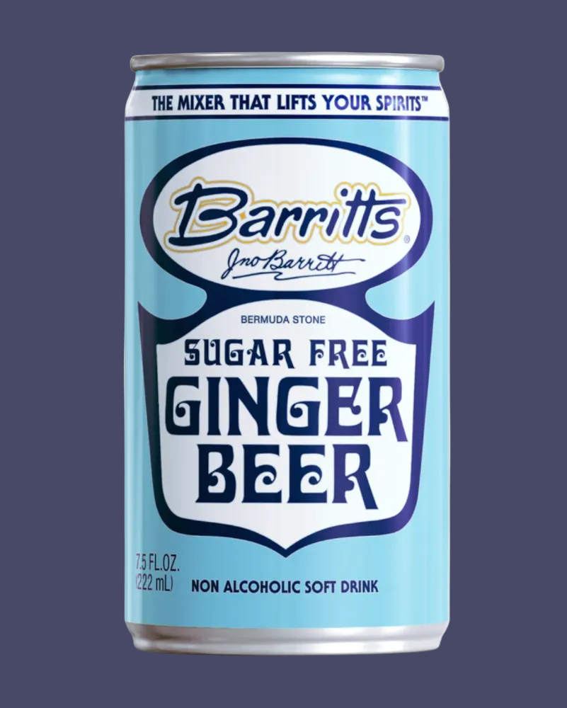 Can of Barritti Sugar Free Ginger Beer on a white background