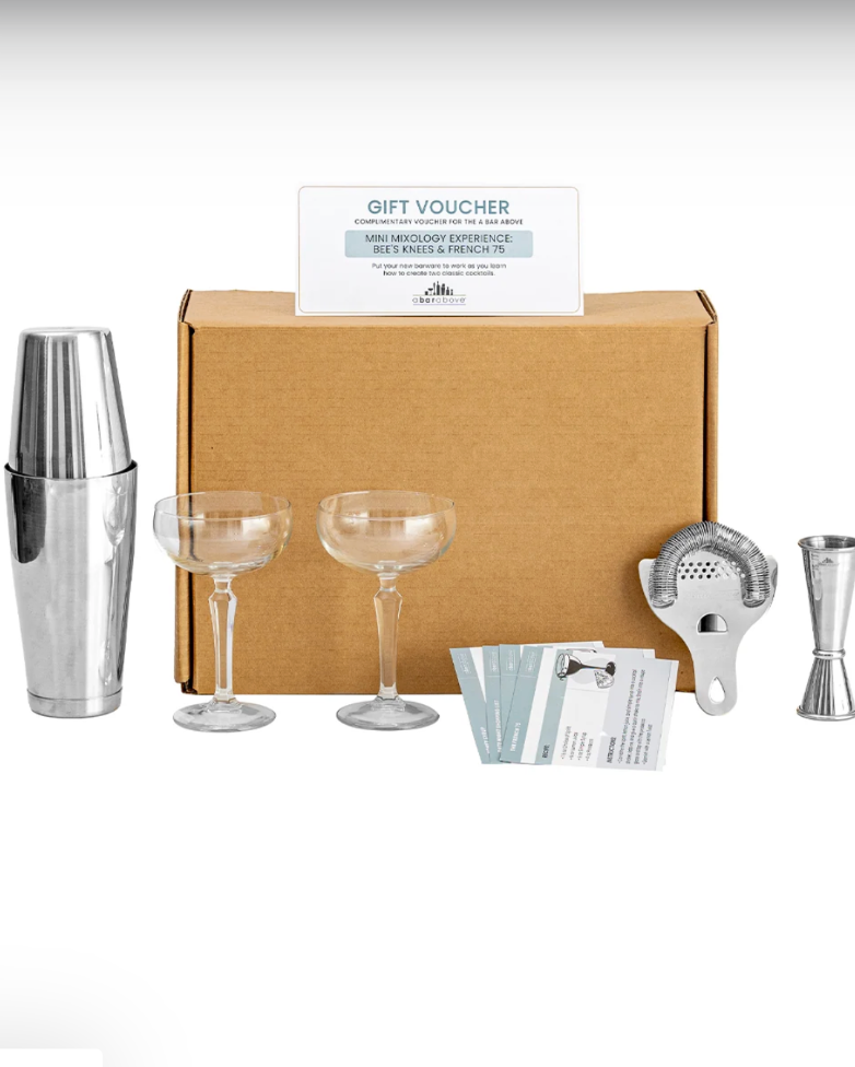 A BAR ABOVE - CRAFT COCKTAIL SET FOR 2 - STAINLESS STEEL