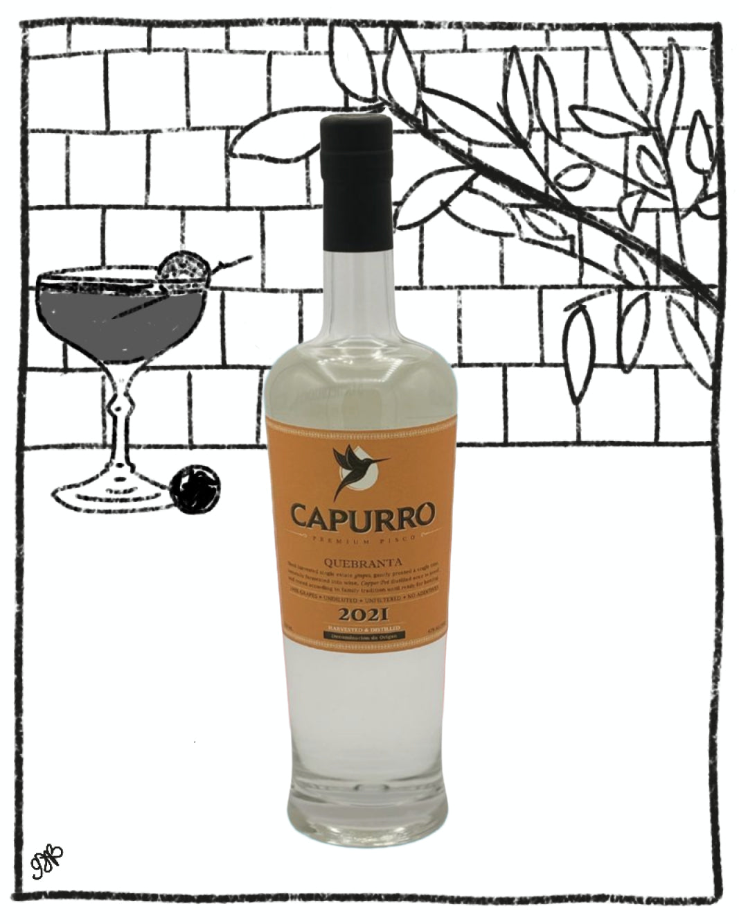 Bottle of Capurro liquor with a cocktail illustration in the background
