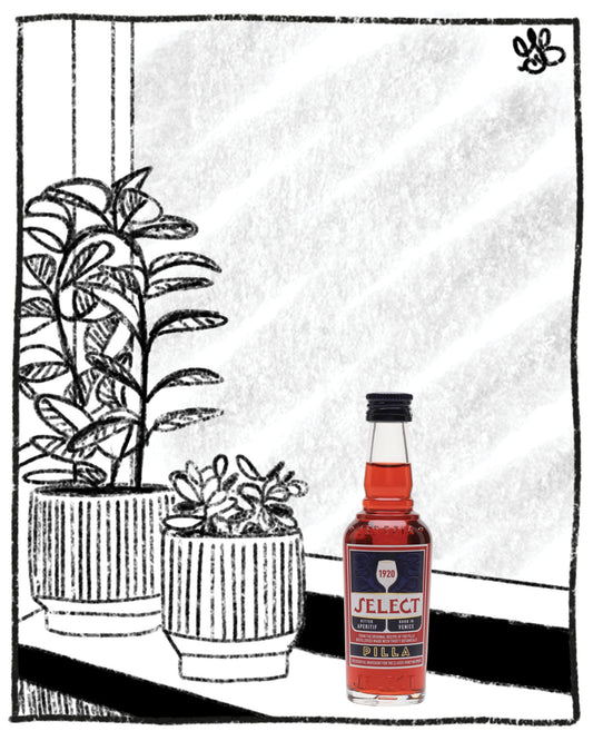 A hand-drawn black and white illustration of two potted plants beside a small bottle of Select Red Wine with a red liquid, set against a sketched window background.