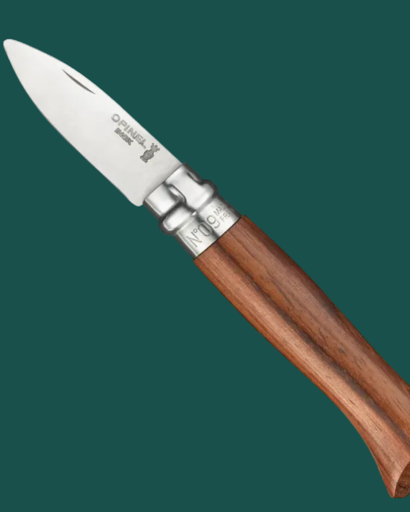 Opinel knife with wooden handle on a green background