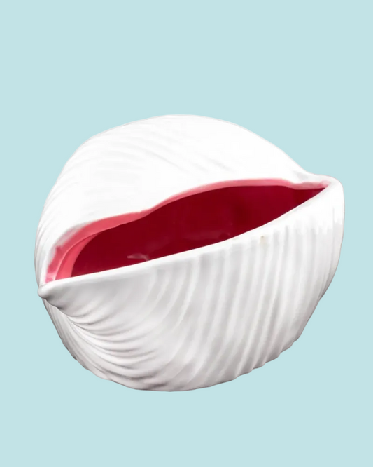 White shell-shaped planter with a red interior on a white background