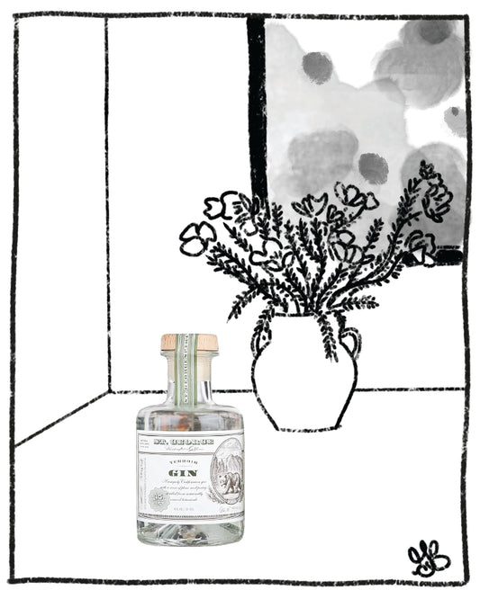 Gin bottle and vase with flowers on a white background